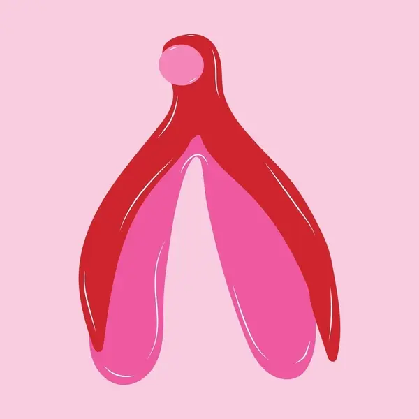 clitoris-stock
