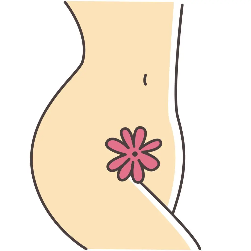 vaginal-labial-puffing-stock