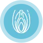 o-shot-icon